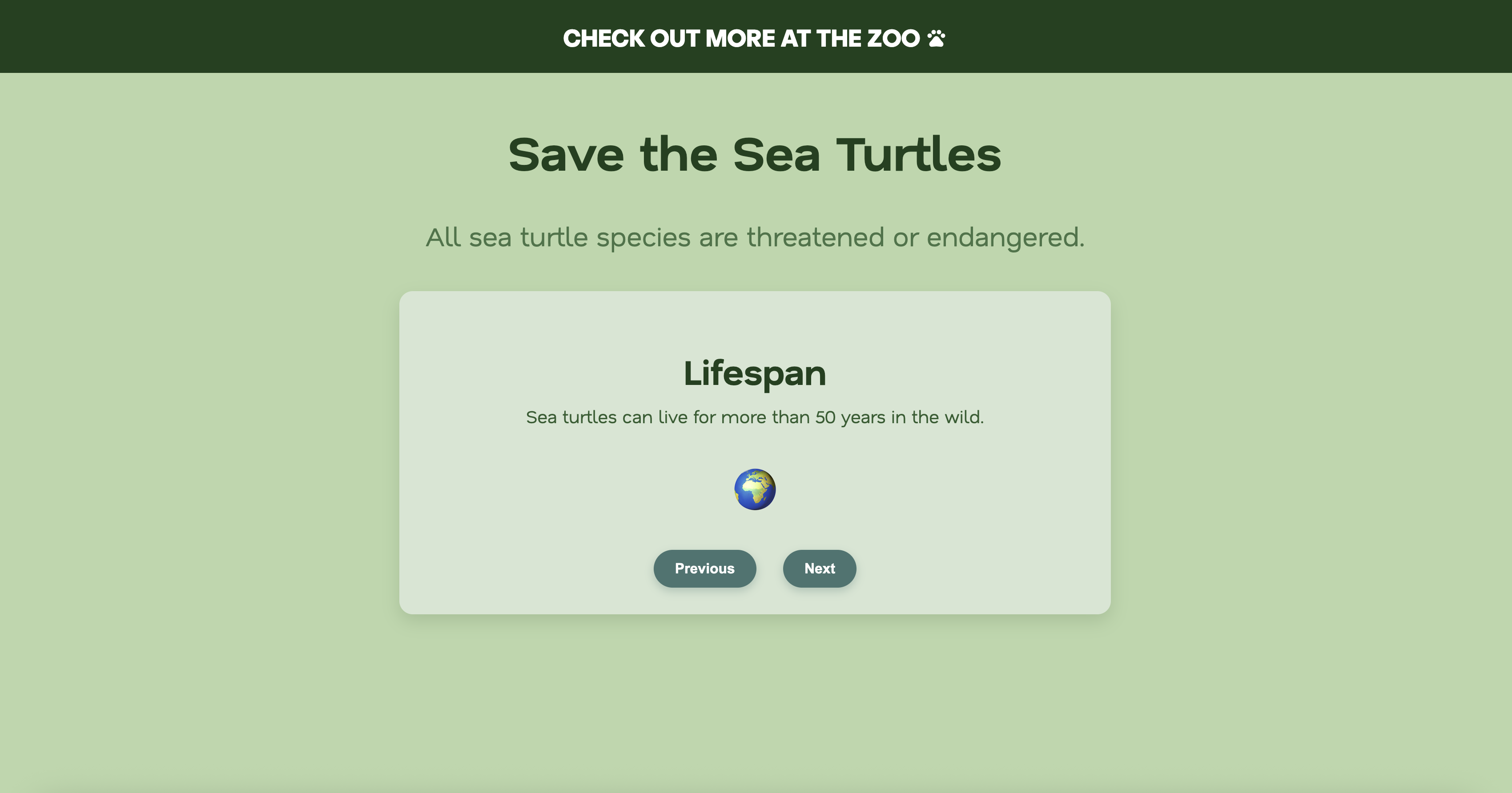 Screenshot of Sea Turtles Website